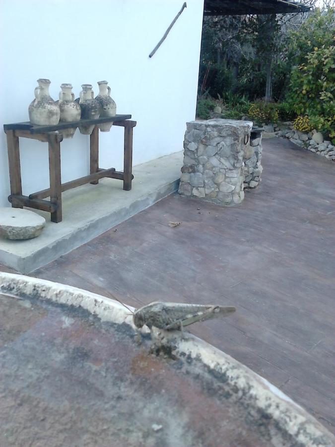 Casa Rural El Cubillo Vejer de la Frontera Exterior foto